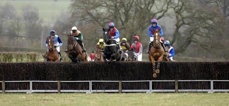 Sandon Races 2008