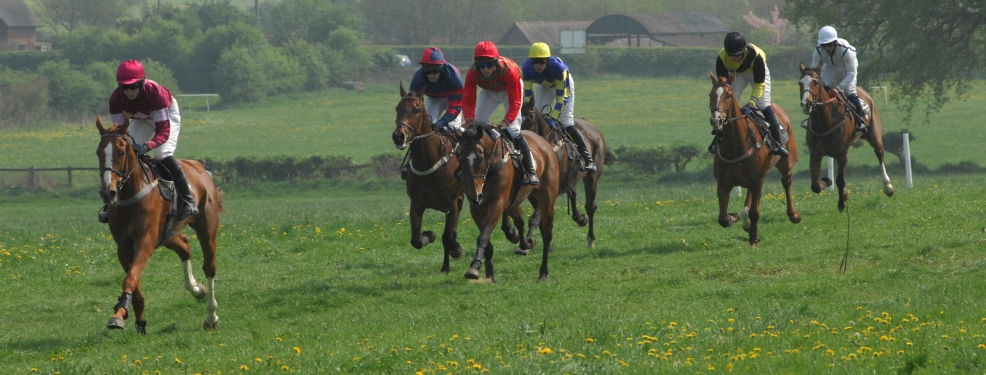 Sandon Races 2011